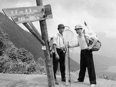 Иллюстрация к книге — Инсектопедия [i_112.jpg]