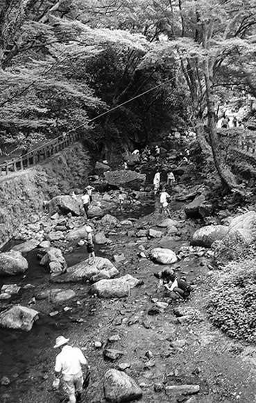 Иллюстрация к книге — Инсектопедия [i_114.jpg]