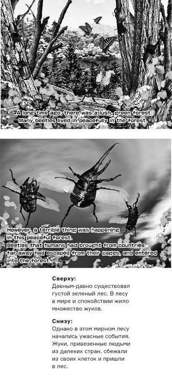 Иллюстрация к книге — Инсектопедия [i_122.jpg]