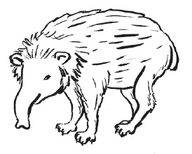 Иллюстрация к книге — Суд над драконом [i_003.jpg]