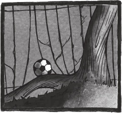 Иллюстрация к книге — Школа Жуткинса. Джунгли на перемене! [i_007.jpg]