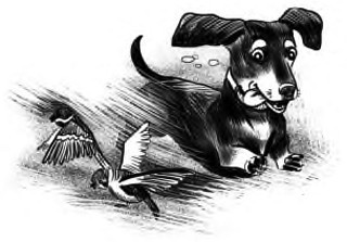 Иллюстрация к книге — Жил-был такс [i_002.jpg]