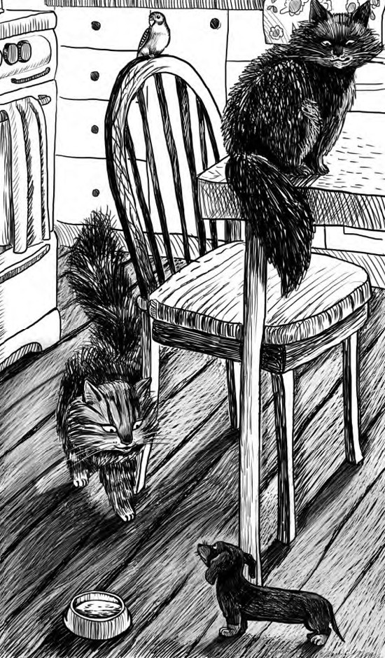 Иллюстрация к книге — Жил-был такс [i_004.jpg]