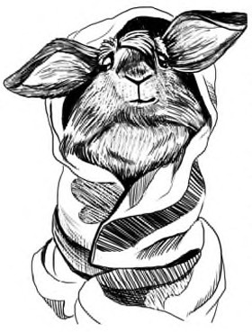 Иллюстрация к книге — Жил-был такс [i_007.jpg]