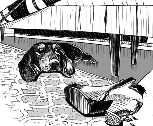 Иллюстрация к книге — Жил-был такс [i_008.jpg]