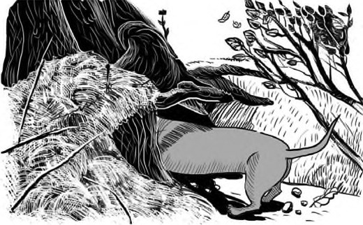 Иллюстрация к книге — Жил-был такс [i_011.jpg]