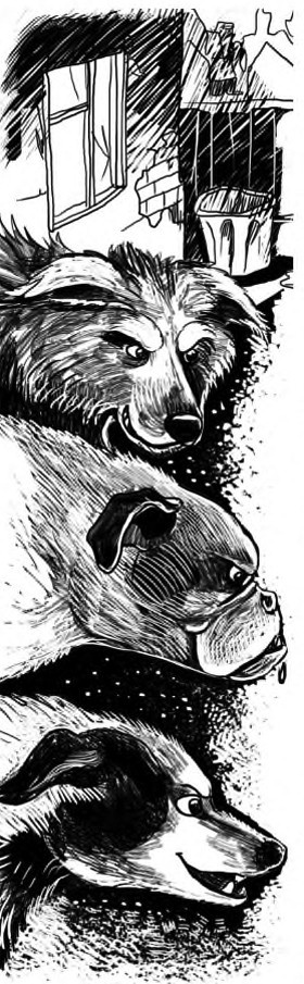 Иллюстрация к книге — Жил-был такс [i_016.jpg]