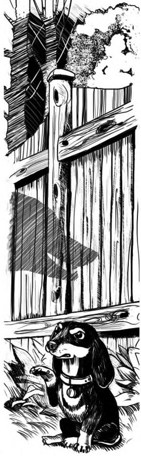 Иллюстрация к книге — Жил-был такс [i_017.jpg]