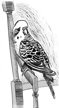 Иллюстрация к книге — Жил-был такс [i_020.jpg]