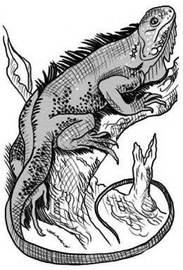 Иллюстрация к книге — Жил-был такс [i_024.jpg]