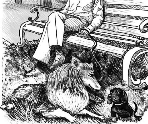 Иллюстрация к книге — Жил-был такс [i_025.jpg]