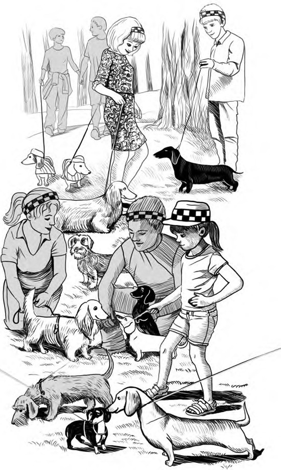 Иллюстрация к книге — Жил-был такс [i_027.jpg]