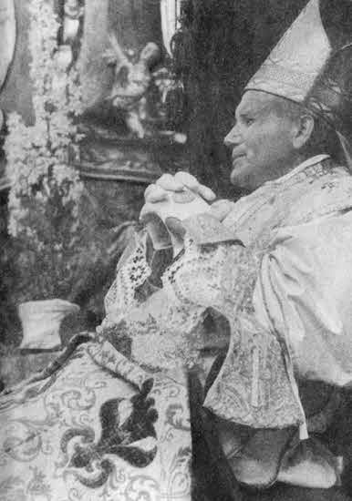 Иллюстрация к книге — Свидетель надежды. Иоанн Павел II. Книга 1 [i_016.jpg]