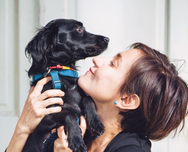 Иллюстрация к книге — Я нашла вам собаку [i_026.jpg]