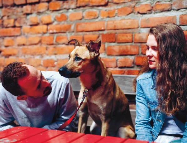 Иллюстрация к книге — Я нашла вам собаку [i_029.jpg]