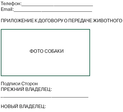 Иллюстрация к книге — Я нашла вам собаку [i_062.jpg]