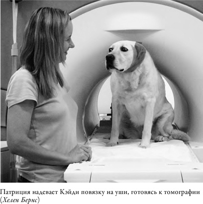 Иллюстрация к книге — Что значит быть собакой. И другие открытия в области нейробиологии животных [i_003.jpg]