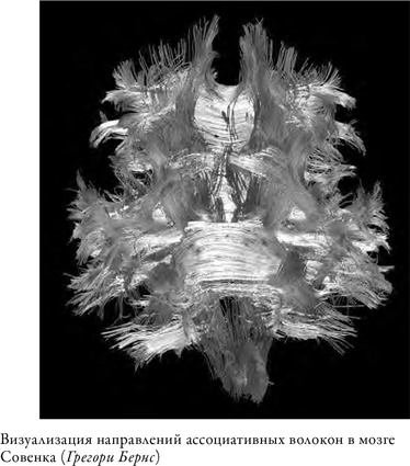 Иллюстрация к книге — Что значит быть собакой. И другие открытия в области нейробиологии животных [i_006.jpg]