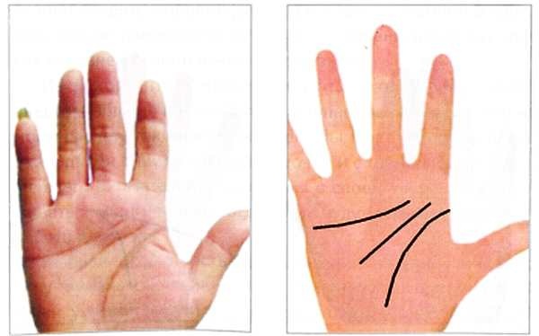 Иллюстрация к книге — Секреты китайских целителей: диагностика и лечение болезней по руке [_16.jpg]