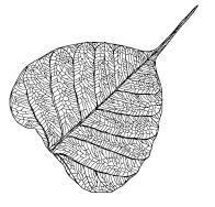 Иллюстрация к книге — Когда все рушится [i_003.jpg]