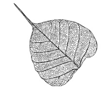 Иллюстрация к книге — Когда все рушится [i_017.jpg]