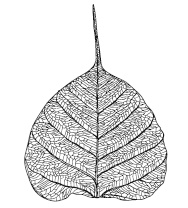 Иллюстрация к книге — Когда все рушится [i_028.jpg]