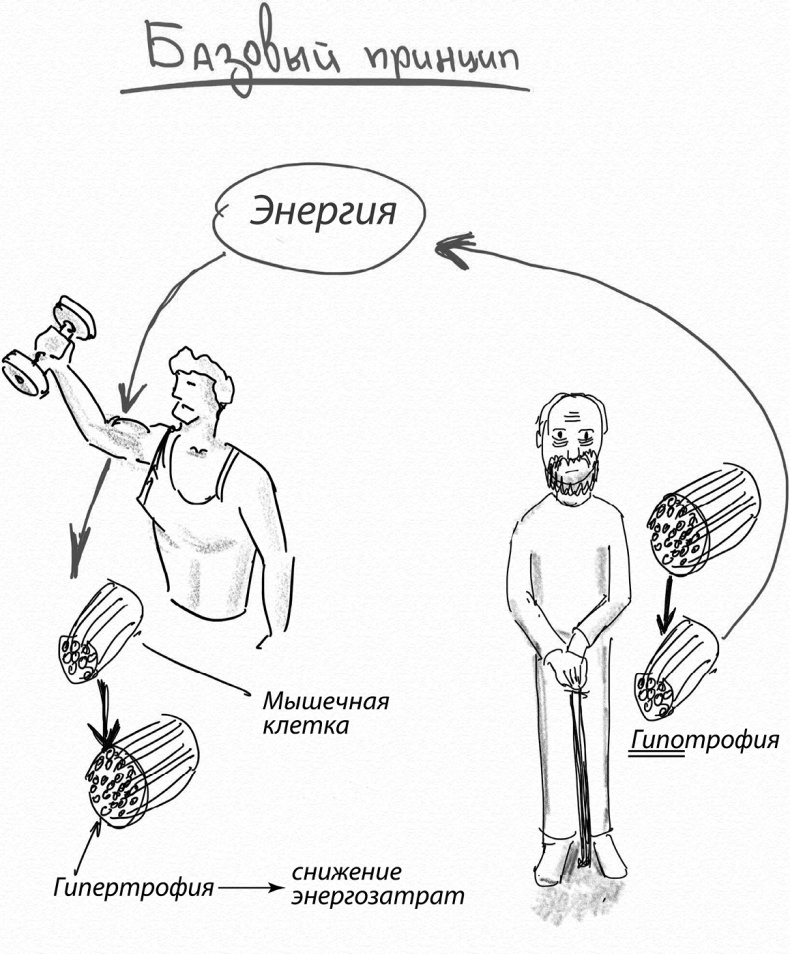 Иллюстрация к книге — Мозговодство  [i_004.jpg]