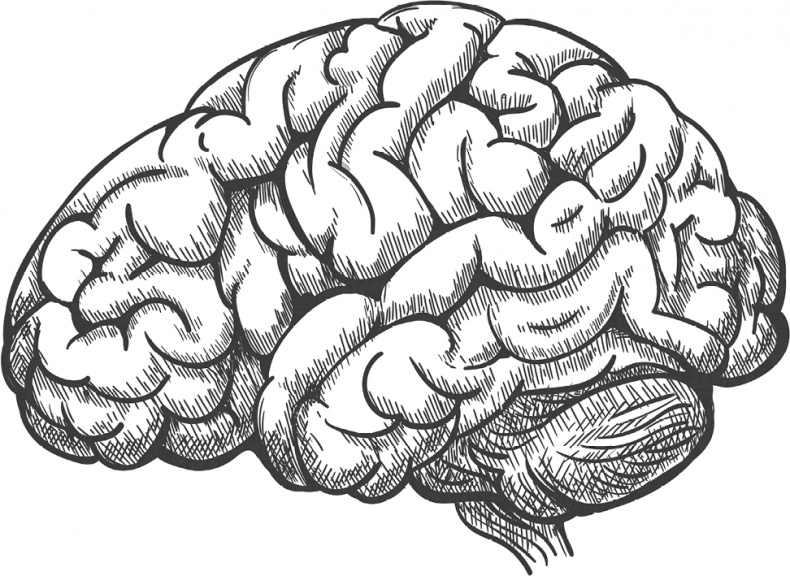 Иллюстрация к книге — Мозговодство  [i_011.jpg]