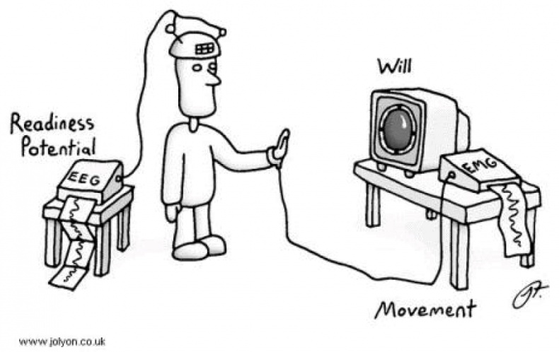 Иллюстрация к книге — Мозговодство  [i_020.jpg]