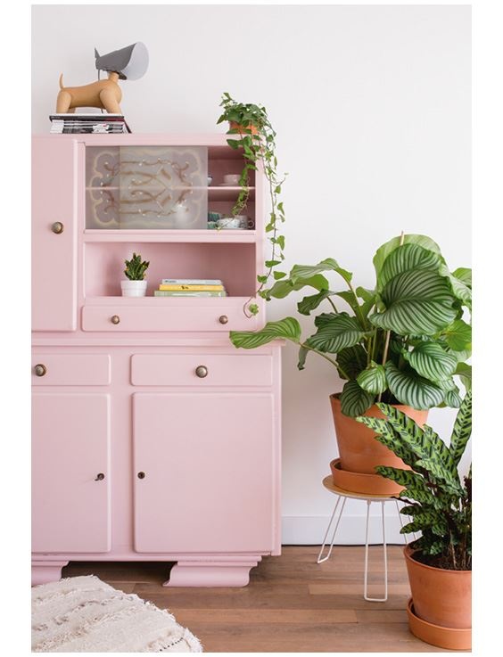 Иллюстрация к книге — Urban Jungle. Как создать уютный интерьер с помощью растений [i_005.jpg]