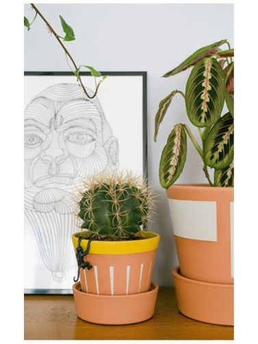 Иллюстрация к книге — Urban Jungle. Как создать уютный интерьер с помощью растений [i_006.jpg]