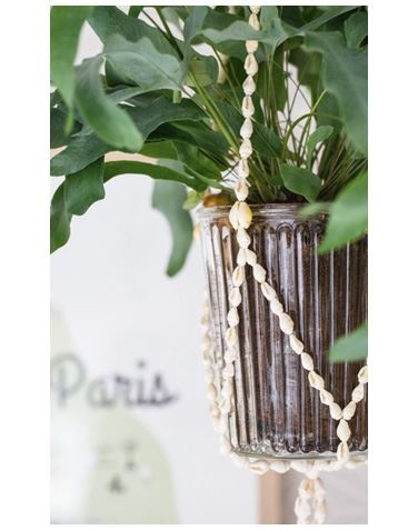 Иллюстрация к книге — Urban Jungle. Как создать уютный интерьер с помощью растений [i_014.jpg]