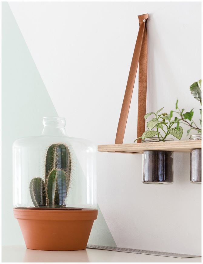 Иллюстрация к книге — Urban Jungle. Как создать уютный интерьер с помощью растений [i_016.jpg]