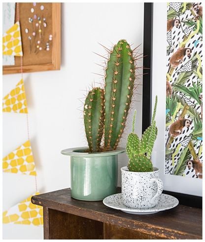 Иллюстрация к книге — Urban Jungle. Как создать уютный интерьер с помощью растений [i_019.jpg]