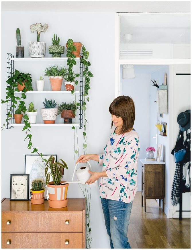 Иллюстрация к книге — Urban Jungle. Как создать уютный интерьер с помощью растений [i_021.jpg]