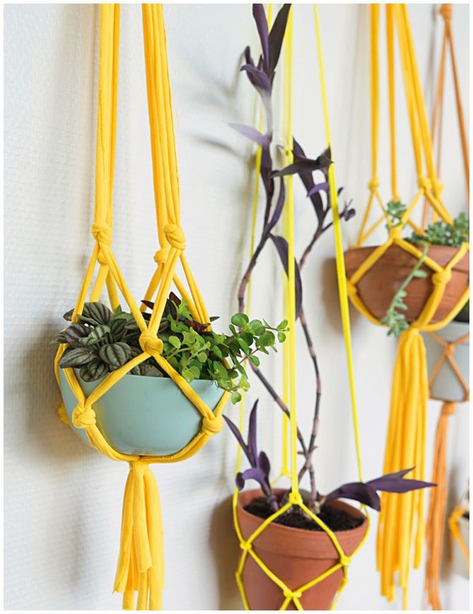 Иллюстрация к книге — Urban Jungle. Как создать уютный интерьер с помощью растений [i_023.jpg]