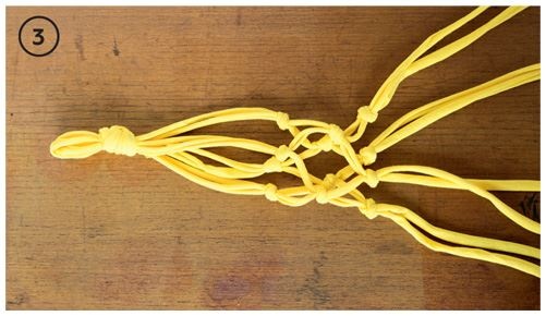 Иллюстрация к книге — Urban Jungle. Как создать уютный интерьер с помощью растений [i_026.jpg]