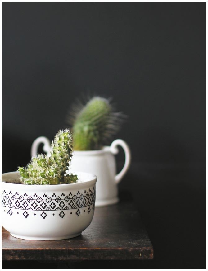 Иллюстрация к книге — Urban Jungle. Как создать уютный интерьер с помощью растений [i_035.jpg]