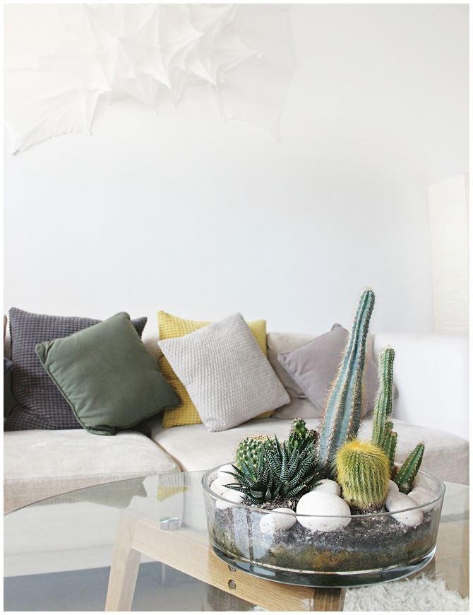 Иллюстрация к книге — Urban Jungle. Как создать уютный интерьер с помощью растений [i_050.jpg]