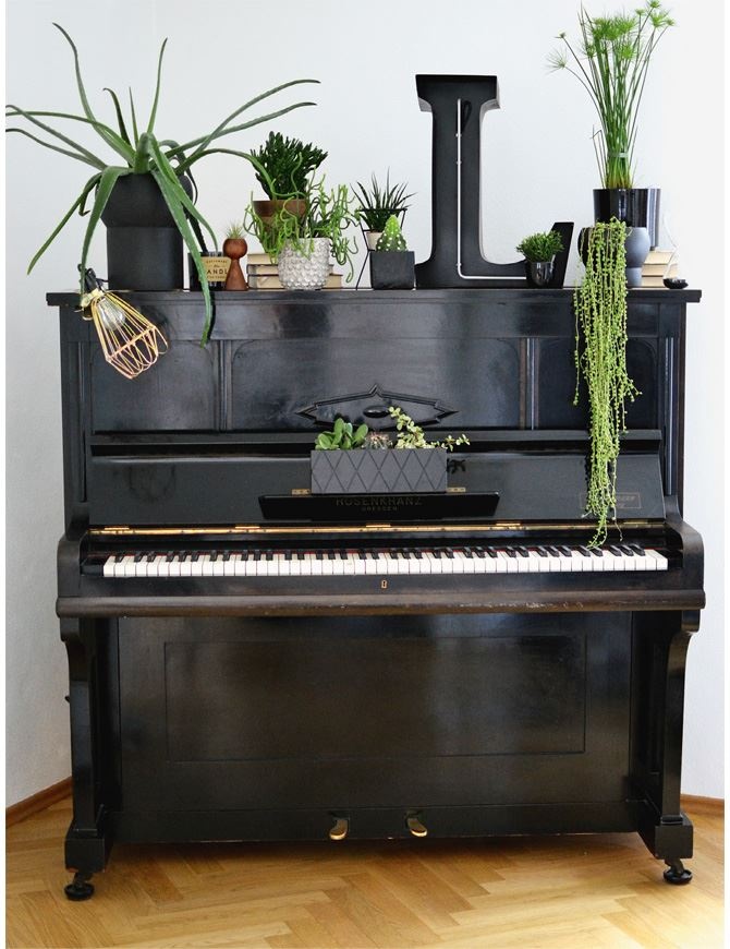 Иллюстрация к книге — Urban Jungle. Как создать уютный интерьер с помощью растений [i_056.jpg]