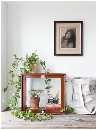 Иллюстрация к книге — Urban Jungle. Как создать уютный интерьер с помощью растений [i_064.jpg]