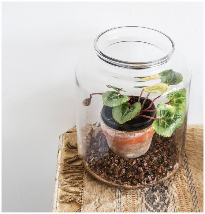 Иллюстрация к книге — Urban Jungle. Как создать уютный интерьер с помощью растений [i_078.jpg]