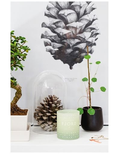 Иллюстрация к книге — Urban Jungle. Как создать уютный интерьер с помощью растений [i_101.jpg]