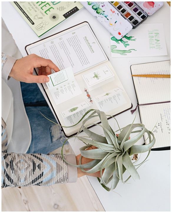 Иллюстрация к книге — Urban Jungle. Как создать уютный интерьер с помощью растений [i_109.jpg]