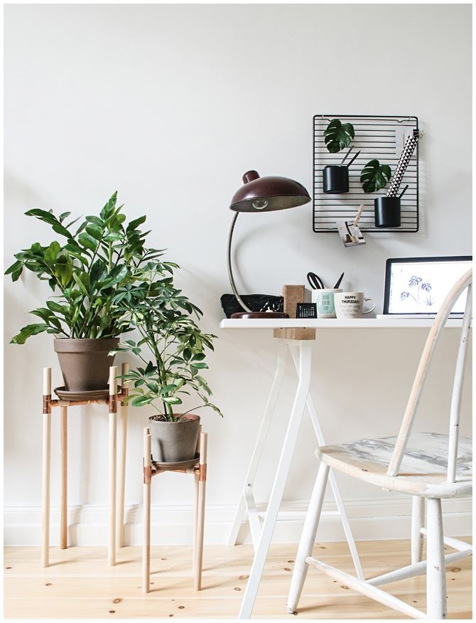 Иллюстрация к книге — Urban Jungle. Как создать уютный интерьер с помощью растений [i_115.jpg]