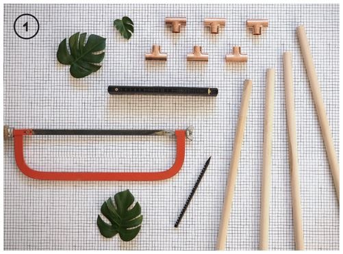 Иллюстрация к книге — Urban Jungle. Как создать уютный интерьер с помощью растений [i_116.jpg]