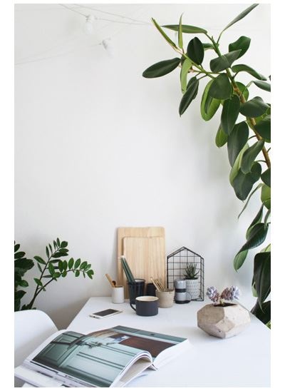 Иллюстрация к книге — Urban Jungle. Как создать уютный интерьер с помощью растений [i_122.jpg]