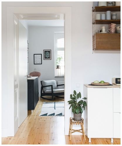 Иллюстрация к книге — Urban Jungle. Как создать уютный интерьер с помощью растений [i_137.jpg]