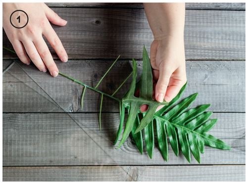 Иллюстрация к книге — Urban Jungle. Как создать уютный интерьер с помощью растений [i_161.jpg]