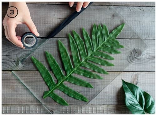 Иллюстрация к книге — Urban Jungle. Как создать уютный интерьер с помощью растений [i_163.jpg]